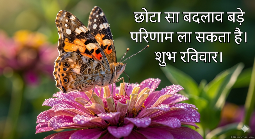 Inspirational Sunday Morning Images Collection